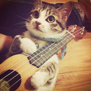 少妇激情综合网
